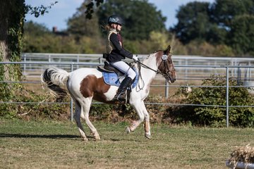 Bild 229 - Pony Akademie Turnier